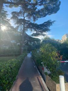 einen Bürgersteig mit einem Baum mitten im Park in der Unterkunft APPARTEMENT MAS DSU TANIT in Antibes