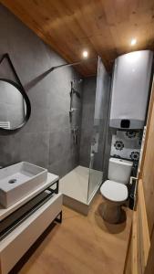 uma casa de banho com um chuveiro, um WC e um lavatório. em Le COCON DES NEIGES MONTGENEVRE em Montgenèvre