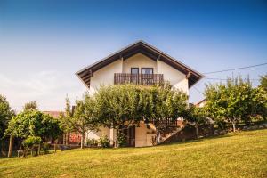 a house on a hill with trees in front of it at Apartment Silvia in Slunj