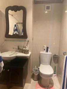 a bathroom with a toilet and a sink and a mirror at Porto marina for rent in El Alamein