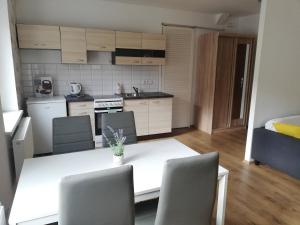 Fotografie z fotogalerie ubytování Apartmán EMA Karlovy Vary v destinaci Karlovy Vary