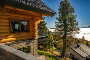 a log house with a view of the mountains at Chalet NON-SENS by L'Occitane in Hochrindl