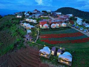 an aerial view of a farm with tents on a hill at ป๋ายดอย ม่อนแจ่ม in Mon Jam