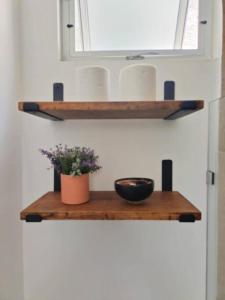 a shelf with a bowl and a plant on it at Casa Laák´Fabulous rustic townhouse with pool in Mérida