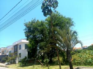 a palm tree in front of a building at Pousada Flor de Lis Homestay in Volta Redonda