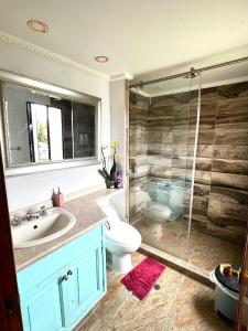 a bathroom with a sink and a toilet and a shower at Casa feliz in Bogotá