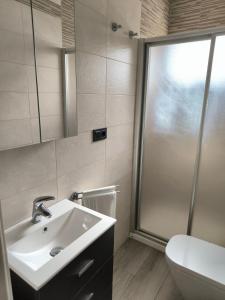 La salle de bains est pourvue d'un lavabo et d'une douche. dans l'établissement Casa Daybru, à Ronda