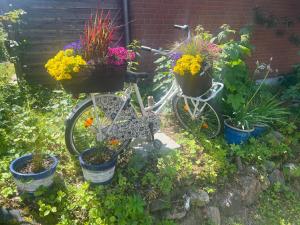 una bicicletta con fiori in un giardino con piante in vaso di SEGELund - Zeit für uns- ruhige und sonnige Ferienwohnung mit Terrasse und Garten nahe Strand und Ostsee a Schönhagen