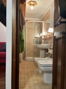 a bathroom with a toilet and a shower and a sink at PERLA DI MONTAGNA in Courmayeur +7 photos