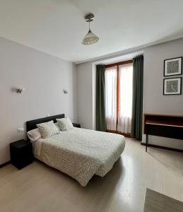 een slaapkamer met een bed en een groot raam bij Hostal Conde De Alba in Madrid