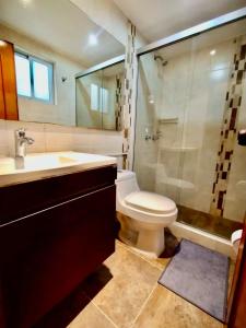 W łazience znajduje się toaleta, umywalka i prysznic. w obiekcie Hogar Emerawa - Corferias Bogota - Embajada Americana w mieście Bogota