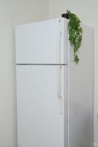 a white refrigerator with a plant hanging from it at Adventure Lodge in South Lake Tahoe