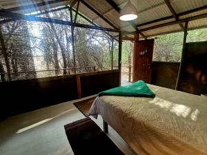 a bedroom with a bed in a room with a window at The Tshilli Farm & Lodge in Maun