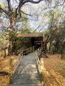 a wooden bridge over a river in a park at The Tshilli Farm & Lodge in Maun