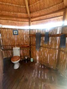 a bathroom with a toilet in a straw hut at The Tshilli Farm & Lodge in Maun