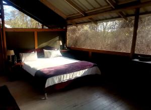 a bedroom with a bed in a room with two windows at The Tshilli Farm & Lodge in Maun