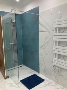 a bathroom with a shower with a glass door at La Casita in Weinzettel +11 photos