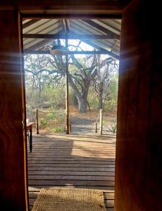 an open door to a wooden porch with a tree at The Tshilli Farm & Lodge in Maun