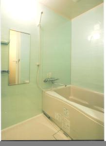 a bathroom with a bath tub and a mirror at Hotel Palace Japan in Tokyo +28 photos