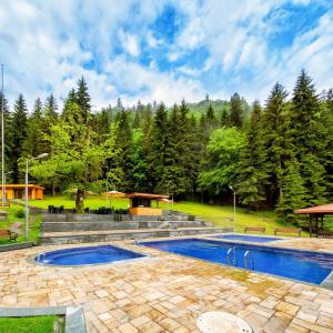 a swimming pool in a park with trees in the background at New apartments in borjomi in Borjomi