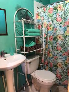 a bathroom with a toilet and a sink at BnB SoMom Mobay Lodging in Montego Bay