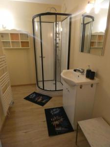 a bathroom with a shower and a sink at Gite aux fleurs in Hagetmau