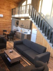 SAPANCA FAMİLY RESORT في كارتيبي: غرفة معيشة مع أريكة ومطبخ