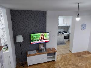 a living room with a flat screen tv on a wall at DAN 9 in Sombor