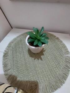 a potted plant sitting on top of a table at DAN 9 in Sombor