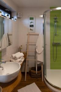 uma casa de banho com um lavatório e um chuveiro em Le Petit Logis em Jalhay
