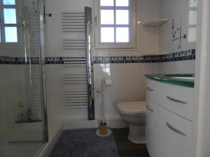a bathroom with a shower and a toilet and a sink at Le clos fleuri in Liposthey +7 photos