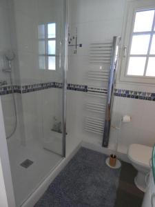 a bathroom with a shower and a toilet at Le clos fleuri in Liposthey