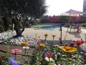 a garden with flowers and a swimming pool at Le clos fleuri in Liposthey