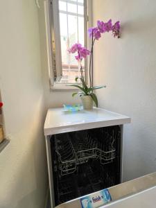 a white counter with a plant in a dishwasher at 21 Passi dal Mare in Gaeta