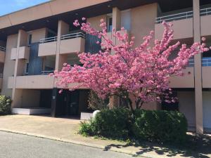 Budynek, w którym mieści się apartament