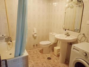 ein Bad mit einem WC, einem Waschbecken und einer Dusche in der Unterkunft Casa Pelayo 2 in Poo de Cabrales