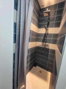 La salle de bains est pourvue d'une douche avec rideau de douche. dans l'établissement Place du Canada 2, à Valenciennes