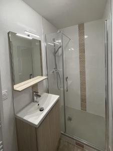 ein Badezimmer mit Waschbecken und Dusche in der Unterkunft Maison pour 8 personnes à Sarzeau - Superbe jardin in Sarzeau + 26 Fotos