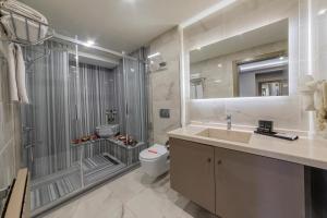 a bathroom with a shower and a sink and a toilet at Ayramin Deluxe Hotel Taksim in Istanbul
