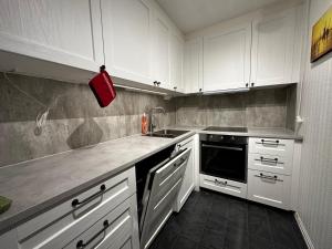 una cocina con armarios blancos y fregadero en Apartment in Astrup’s Kingdom, en Vassenden