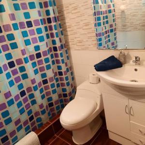 Afbeelding uit fotogalerij van Cabañas rio Biobio in Callaqui +33 foto's