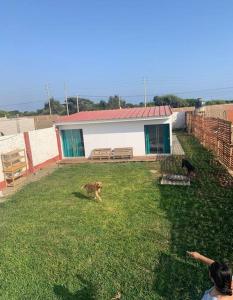 a dog sitting in the grass in front of a house at Casa Villa María Huanchaco in Huanchaco