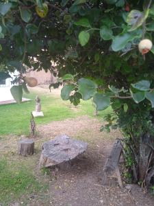 un jardín con una estatua y un banco bajo un árbol en Casa de campo hospedaje RyM en Sicuani