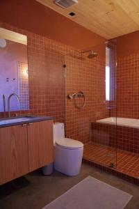 a bathroom with a toilet and a shower and a sink at Alpine House #1 in Steamboat Springs