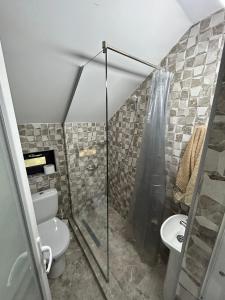 a bathroom with a toilet and a shower at Casa Berbec2 in Dealul Viei +19 photos