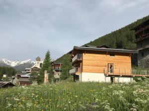 a group of buildings on a hill with a field of flowers at @tiefenmatten 19 in Blatten im Lötschental