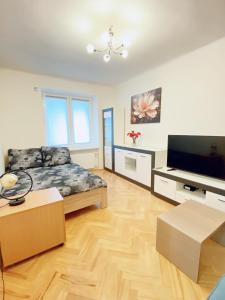 華沙的住宿－Apart Wiktoria，带沙发和平面电视的客厅