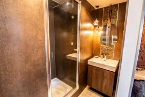 a bathroom with a shower and a sink at LE DUPE in Brissac-Quincé