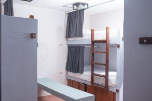Letto o letti in una camera di Mapache Hostel & Camping