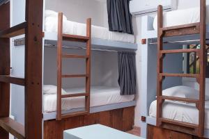 Letto o letti in una camera di Mapache Hostel & Camping